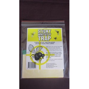 Sticky White Fly Traps Pack of 5 | Pest Control | Wallys Hydro Flow Growing materials | Misc